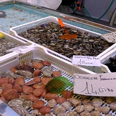 Mercato di Piazza Tolosetto Farinati degli Uberti