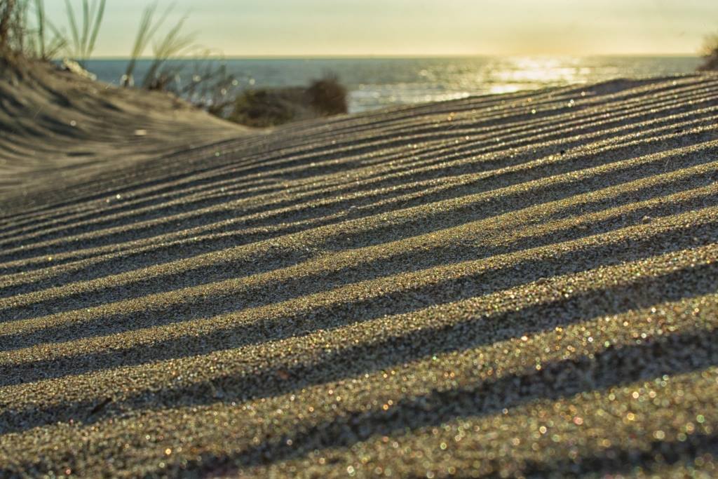 La storia delle dune di Capocotta