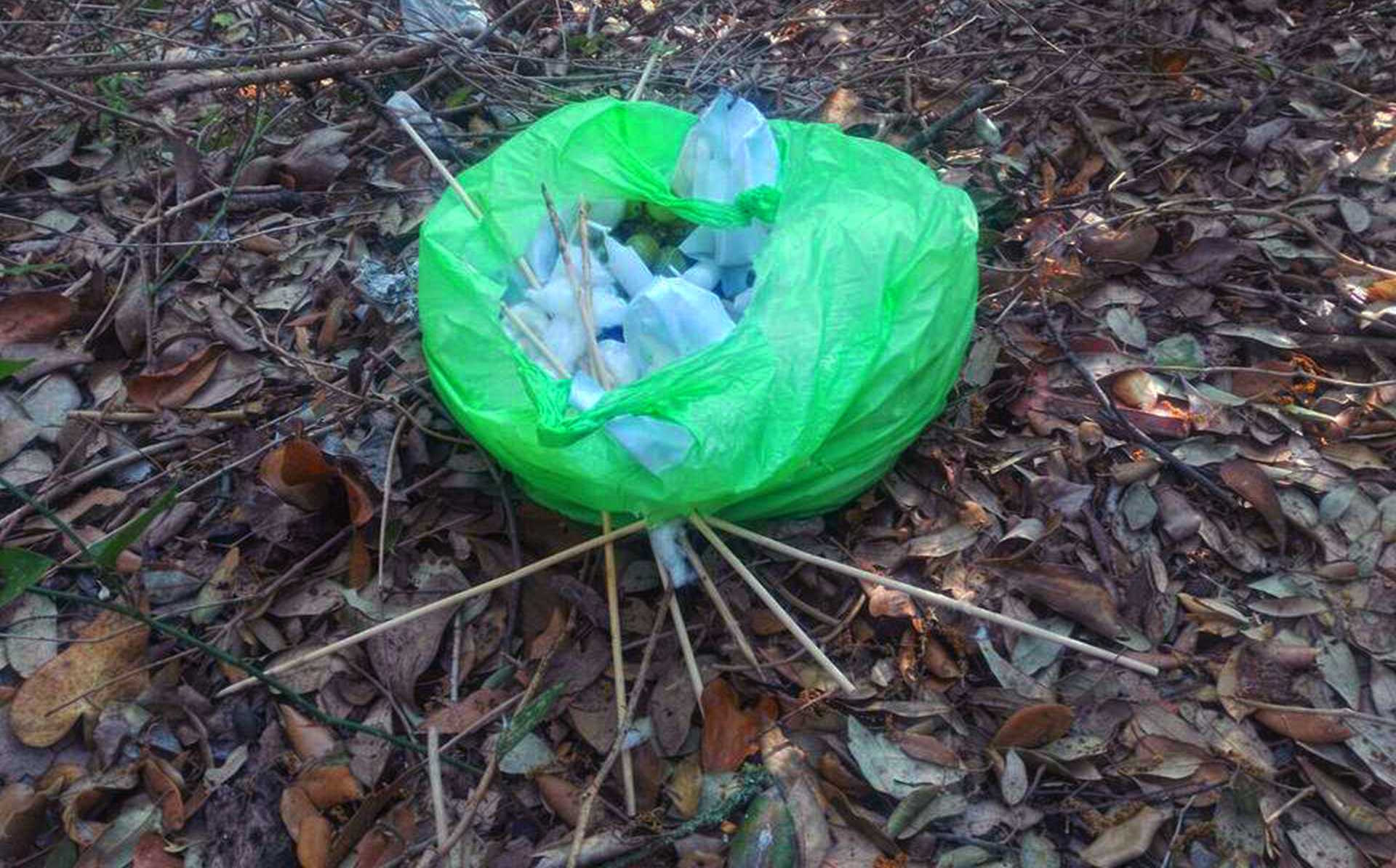 Trovati alle 18,30 due nuovi inneschi nella Pineta di Castelfusano di Ostia Trovati alle 18,30 due nuovi inneschi nella Pineta di Castelfusano di Ostia