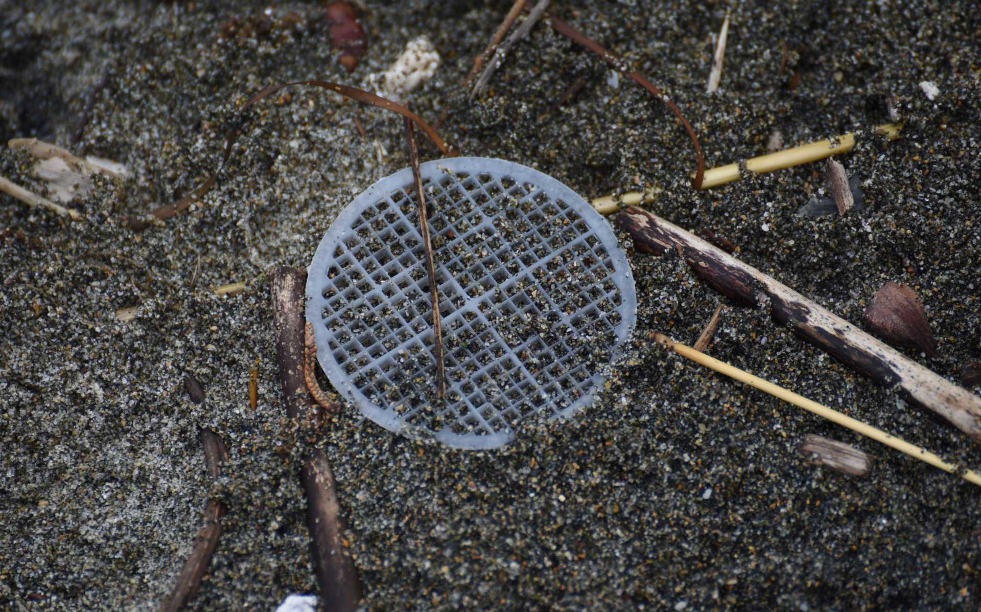 Il mistero dei dischetti in plastica sulla spiaggia Il mistero dei dischetti in plastica sulla spiaggia