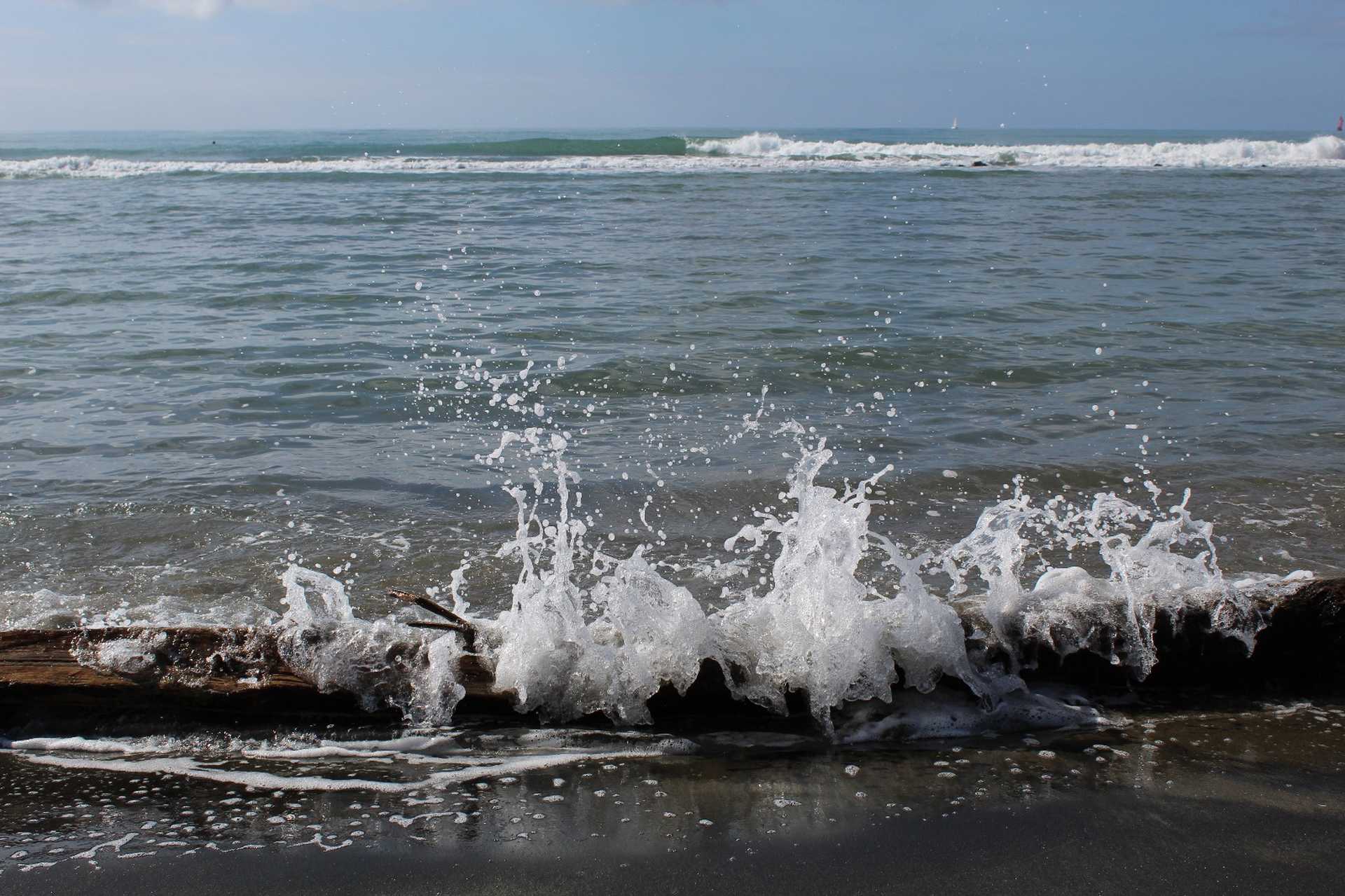 Ostia: un luogo pieno di storie, dove ho avuto l’opportunità di assaporare la mia città Ostia: un luogo pieno di storie, dove ho avuto l’opportunità di assaporare la mia città