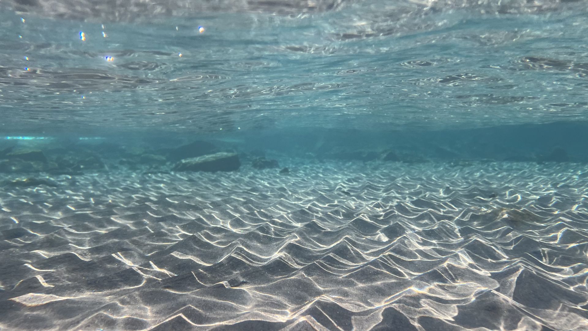 Dacci oggi il nostro mare quotidiano