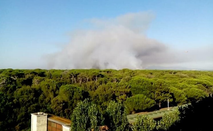 Ascoltiamo una testimone dell'incendio di Castelfusano