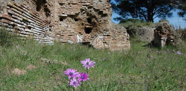 La Tenuta di Procoio